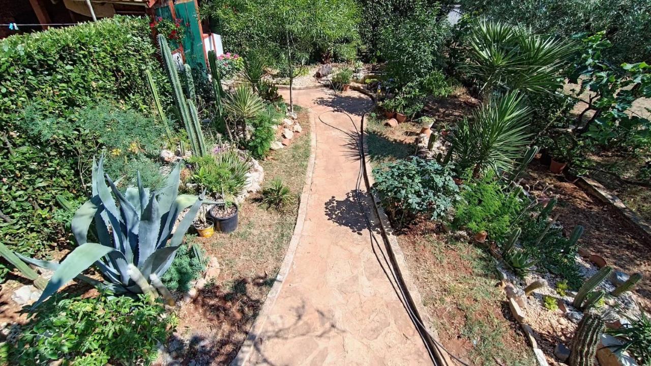 Cactus House Gaspar ซาดาร์ ภายนอก รูปภาพ